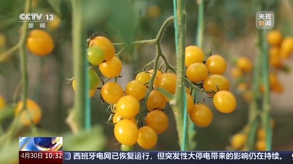 配资炒股真专业 供应充足&#32;品种丰富&#32;价格稳定&#32;五一假期“菜篮子”供应有保障