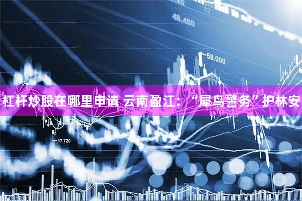 杠杆炒股在哪里申请 云南盈江：“犀鸟警务”护林安